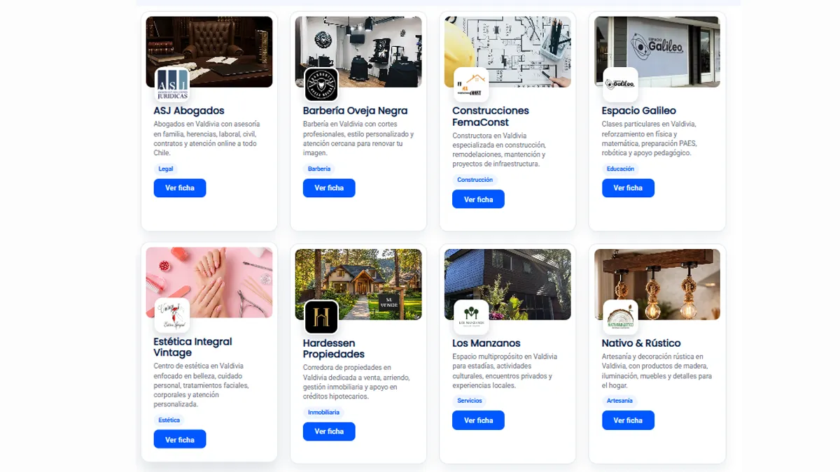 Fichas web tradicionales de emprendimientos en PLAZIA